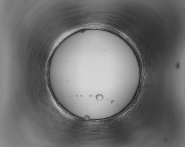 X0000116371429200912020959