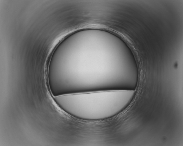 X0000116371430200912020959
