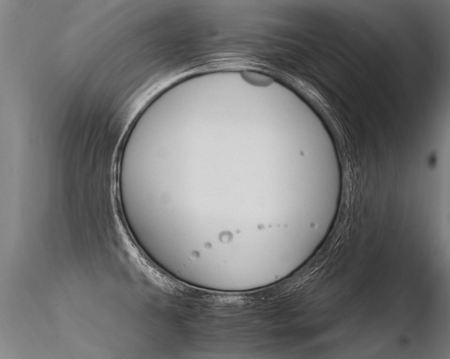 X0000116371431200912020959
