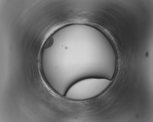 X0000116371432200912020959