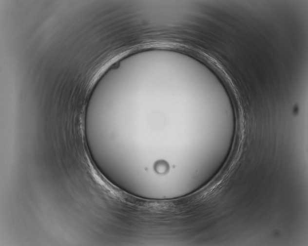 X0000116371433200912020959