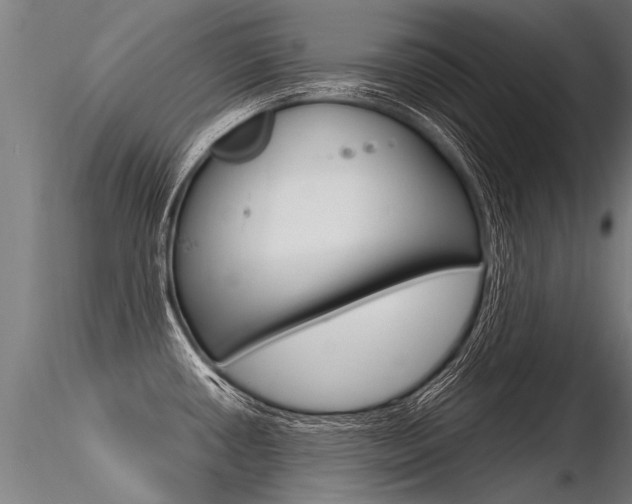 X0000116371434200912020959