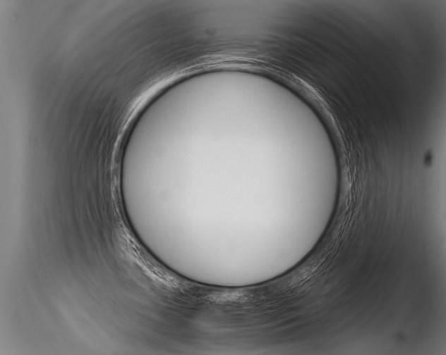 X0000116371435200912020959