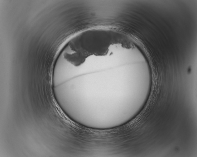 X0000116371436200912020959