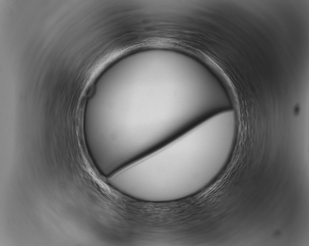 X0000116371437200912020959