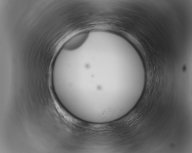 X0000116371439200912020959