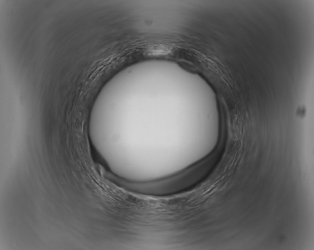 X0000116371441200912020958