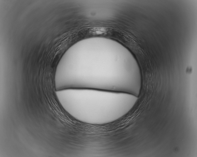 X0000116371442200912020958