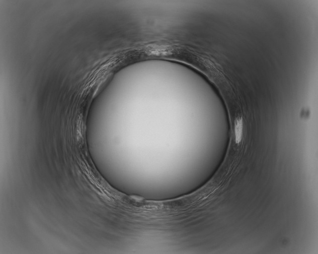 X0000116371444200912020958