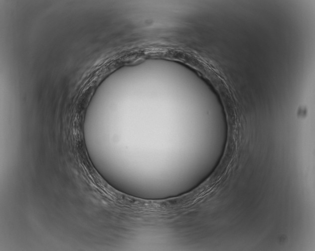 X0000116371445200912020958