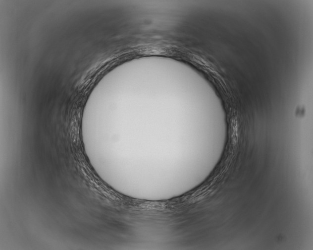 X0000116371446200912020958