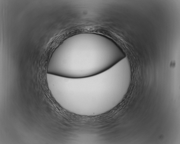 X0000116371447200912020958