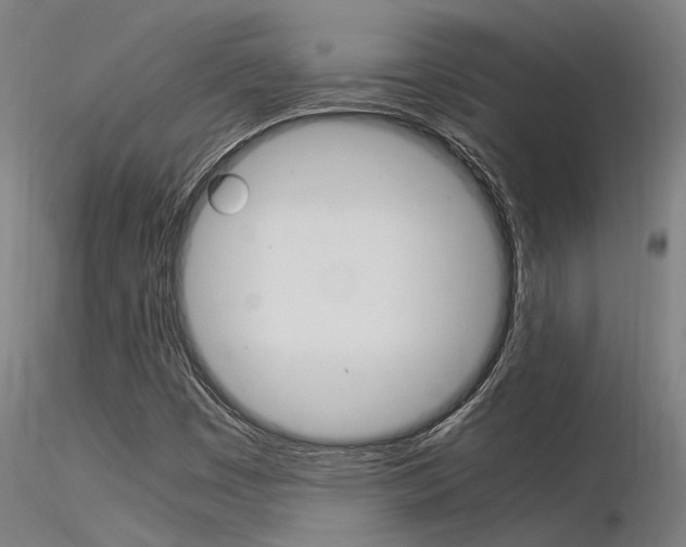 X0000116371449200912020958