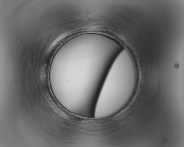 X0000116371450200912020958