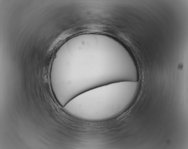 X0000116371451200912020958