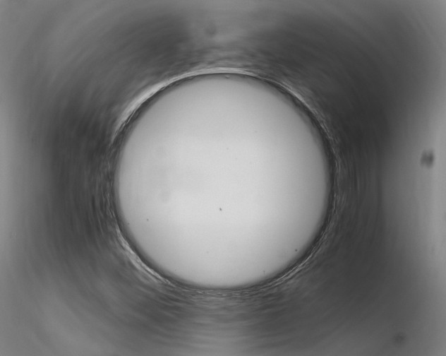 X0000116371452200912020958
