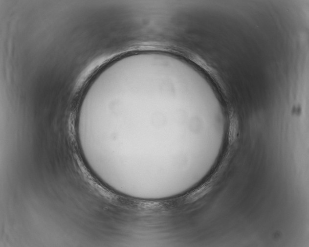 X0000116371454200912020958