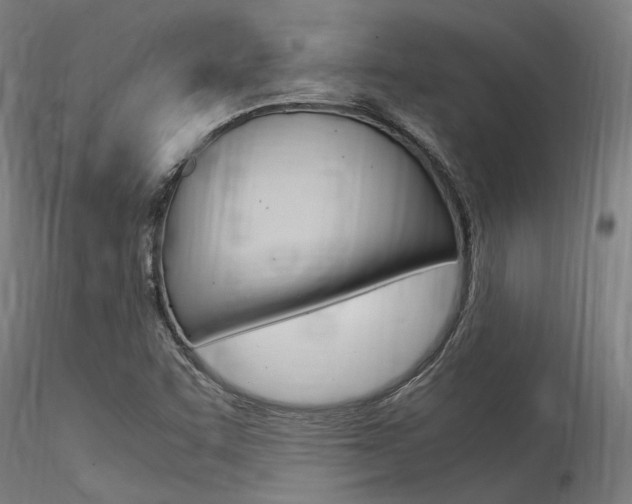 X0000116371455200912020958