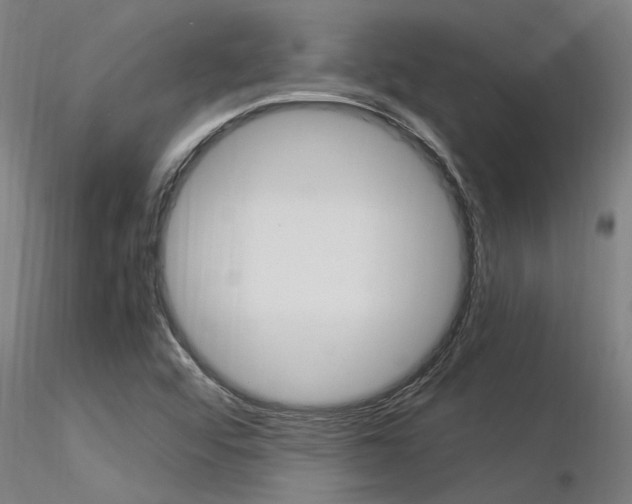 X0000116371456200912020958