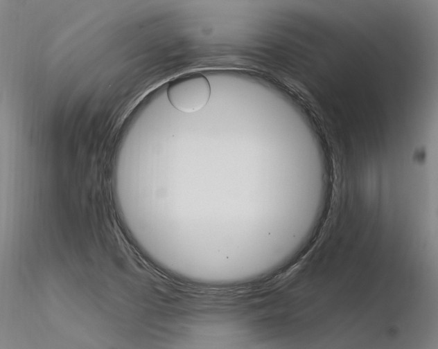 X0000116371457200912020958