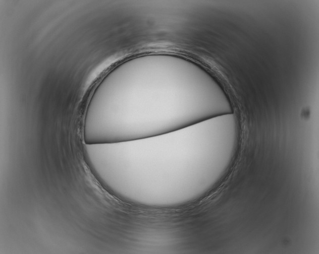 X0000116371458200912020958