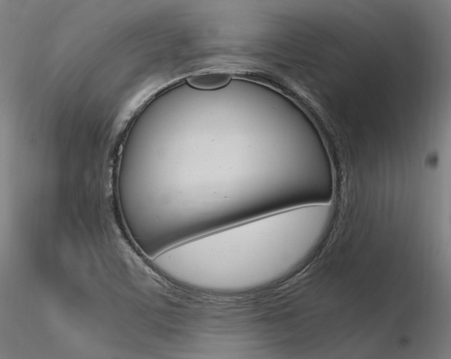 X0000116371459200912020958