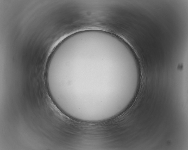 X0000116371460200912020958
