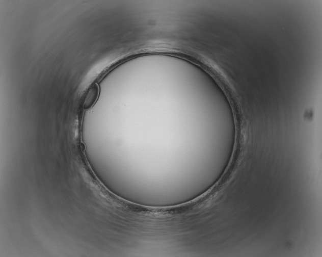 X0000116371461200912020958
