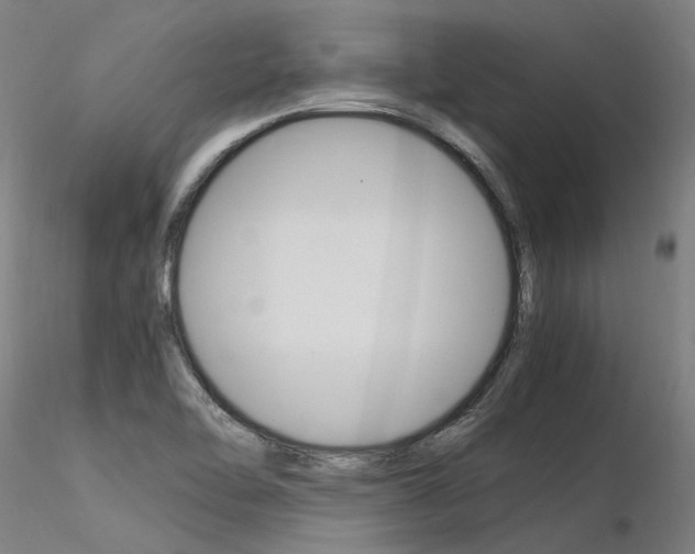 X0000116371462200912020958