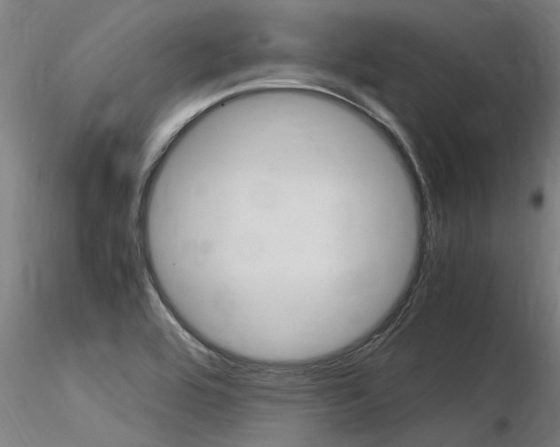 X0000116371464200912020958