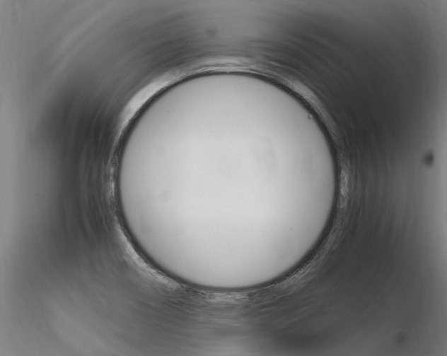 X0000116371466200912020958