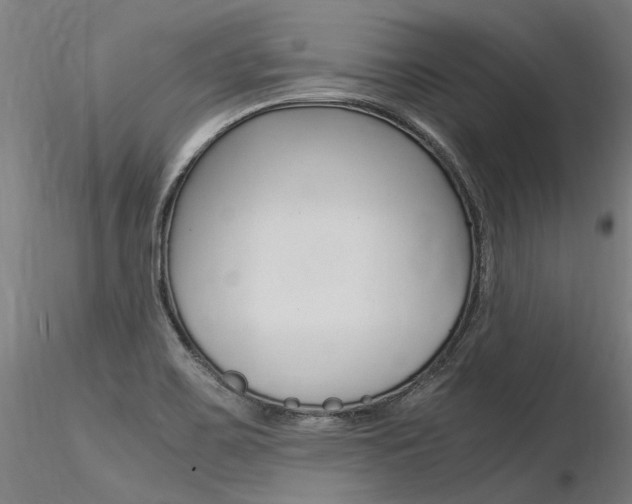 X0000116371467200912020958