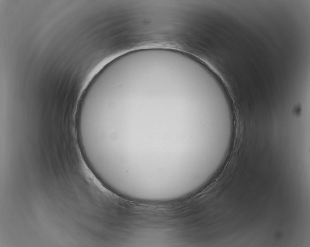 X0000116371468200912020958