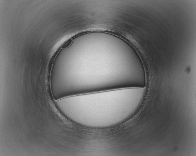 X0000116371469200912020958