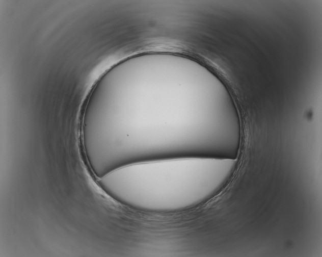 X0000116371471200912020958