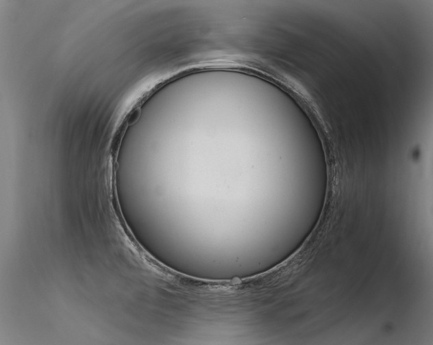 X0000116371472200912020958