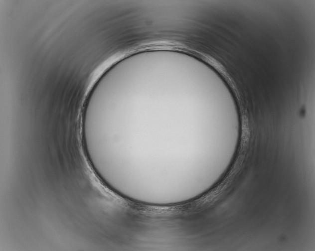 X0000116371474200912020958