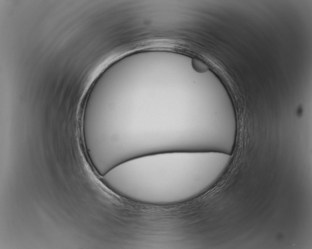 X0000116371475200912020958