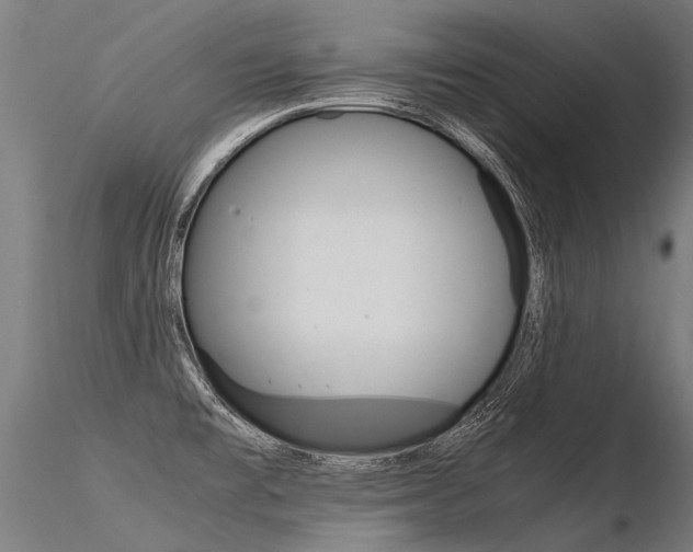 X0000116371477200912020958