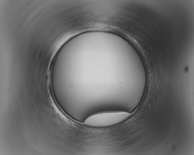 X0000116371479200912020958