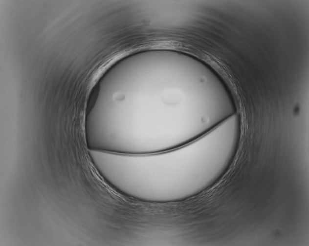X0000116371481200912020958