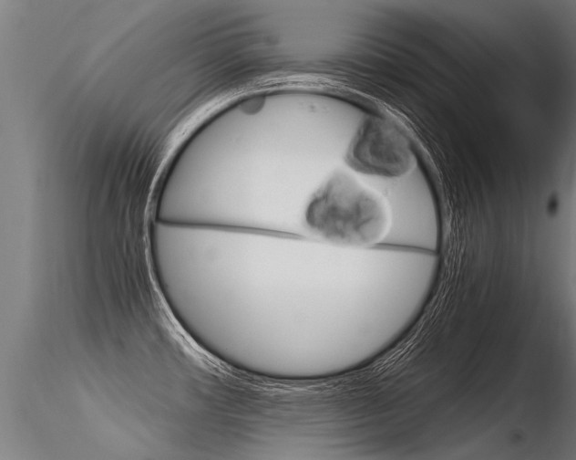 X0000116371482200912020958