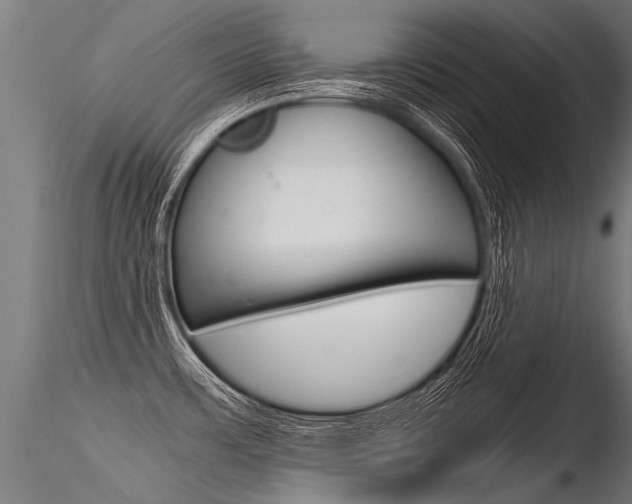 X0000116371483200912020958