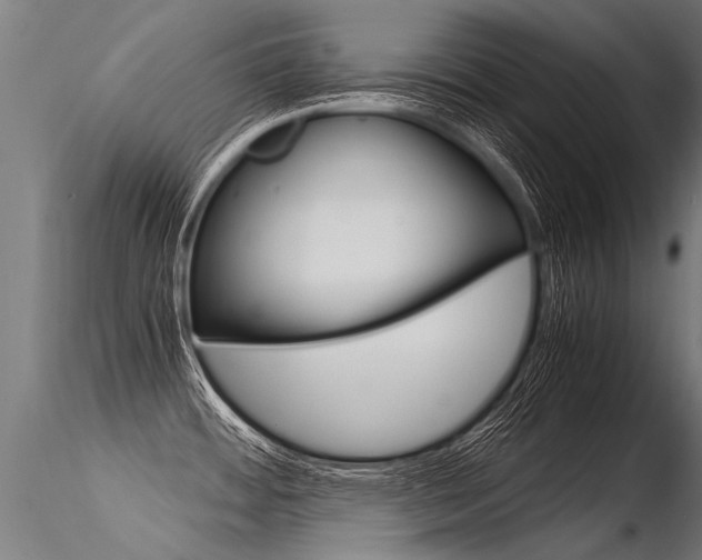X0000116371484200912020958
