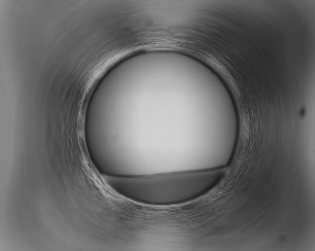 X0000116371485200912020958