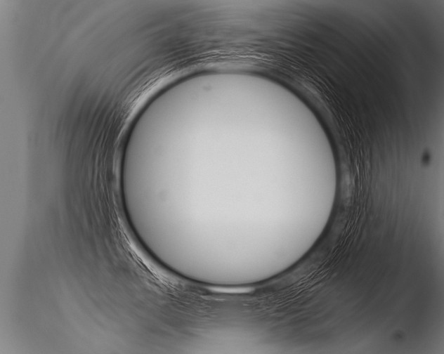 X0000116371487200912020958