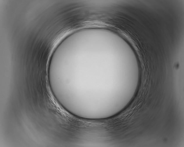 X0000116371488200912020958
