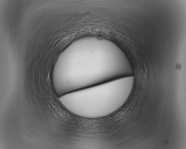 X0000116371489200912020957