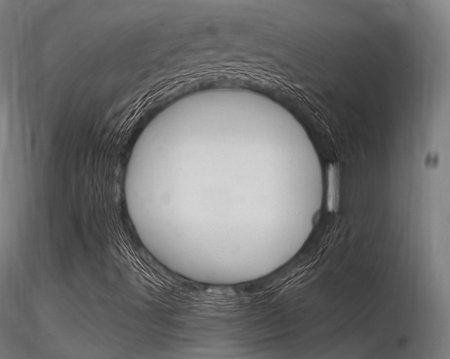 X0000116371491200912020957