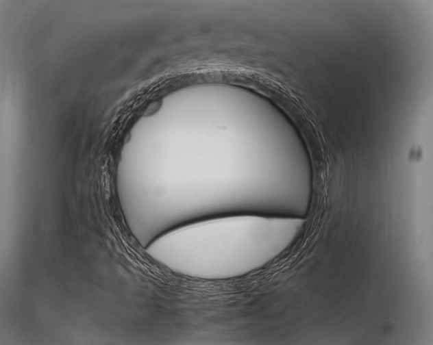 X0000116371493200912020957